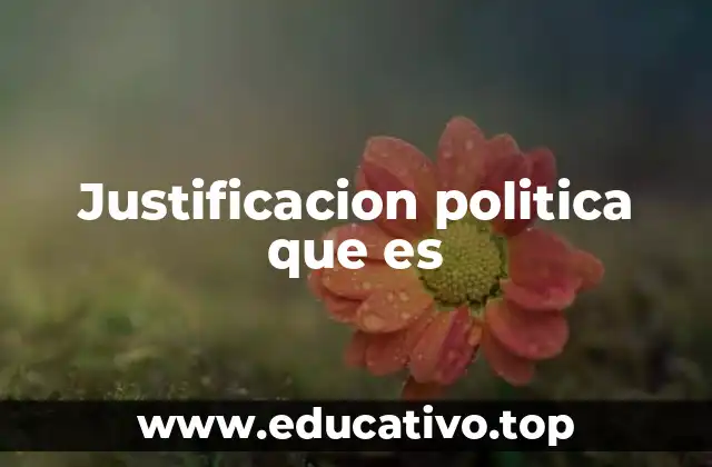 Justificacion politica que es