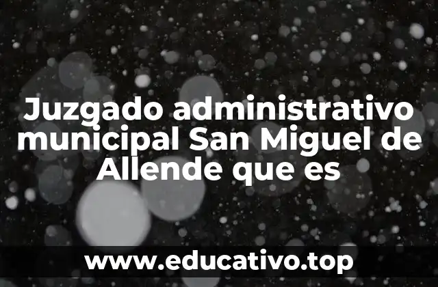 Juzgado administrativo municipal San Miguel de Allende que es