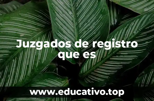 Juzgados de registro que es