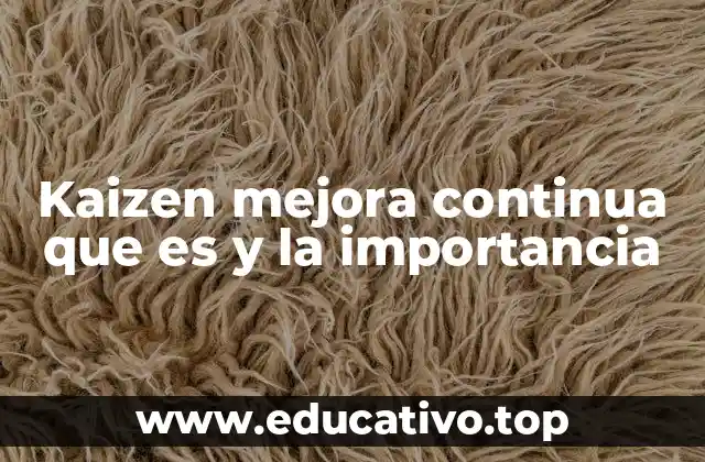 Kaizen mejora continua que es y la importancia