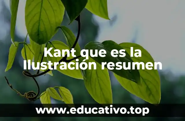 Kant que es la Ilustración resumen