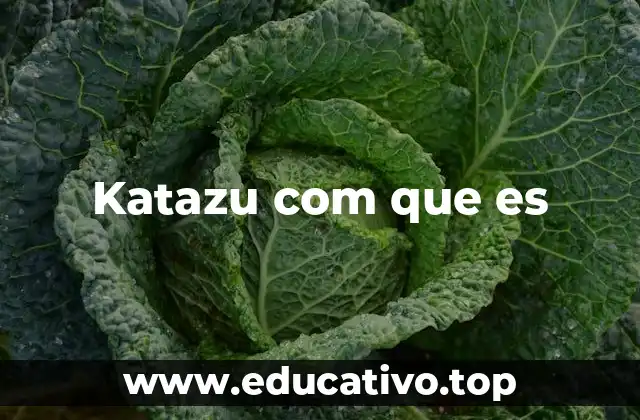 Katazu com que es