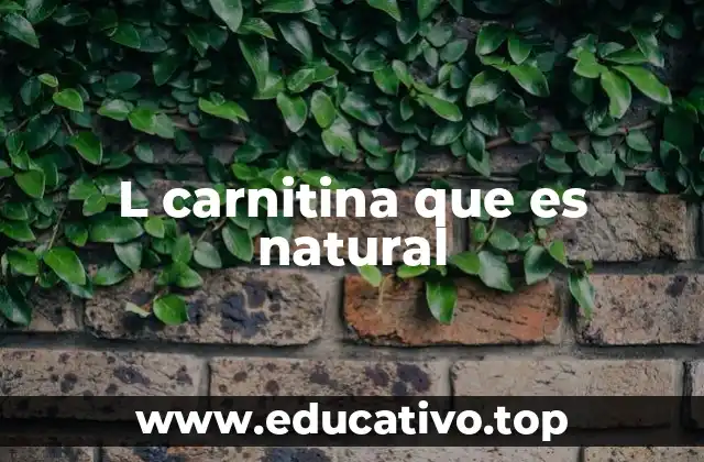 L carnitina que es natural