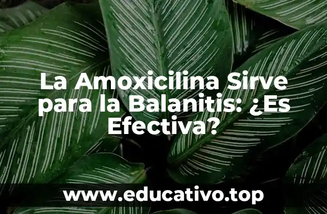 La Amoxicilina Sirve para la Balanitis: ¿Es Efectiva?