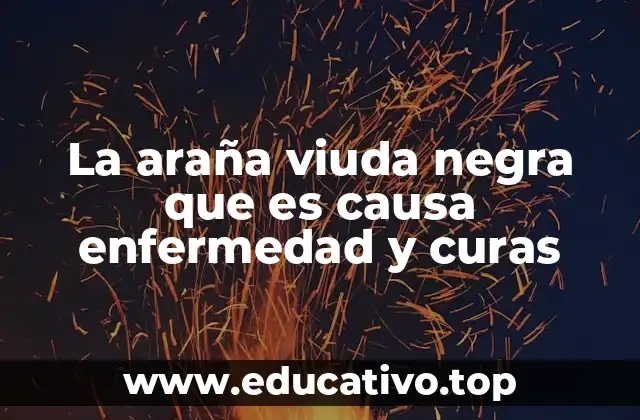 La araña viuda negra que es causa enfermedad y curas
