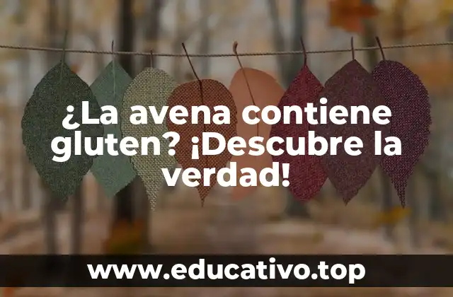 ¿La avena contiene gluten? ¡Descubre la verdad!