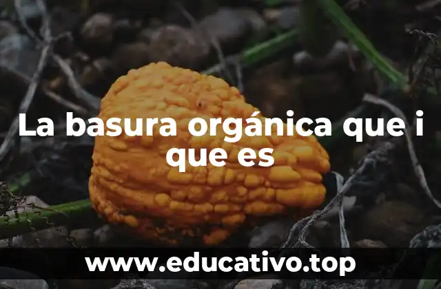 La basura orgánica que i que es