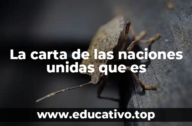 La carta de las naciones unidas que es