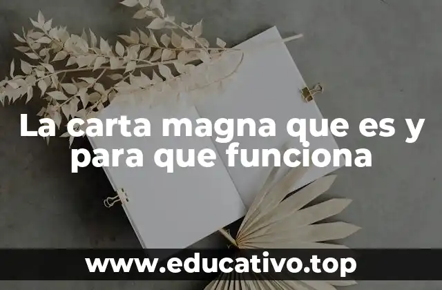 El impacto de la carta magna en la gobernabilidad