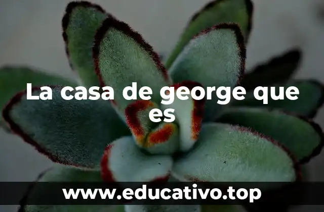 La casa de george que es