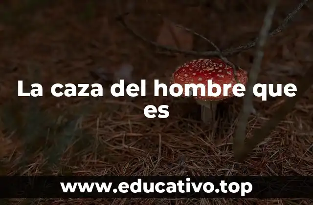 La búsqueda interior como viaje espiritual