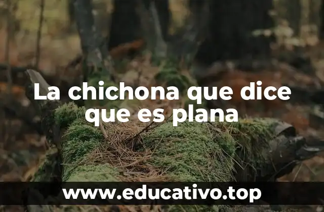 La chichona que dice que es plana