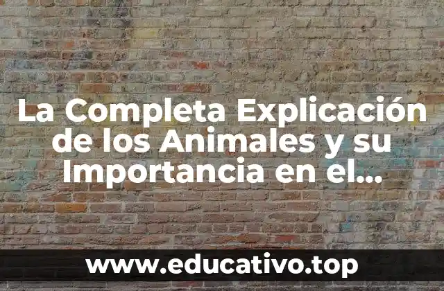 La Completa Explicación de los Animales y su Importancia en el Ecosistema
