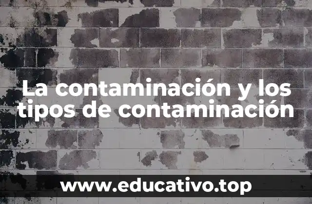 La contaminación y los tipos de contaminación