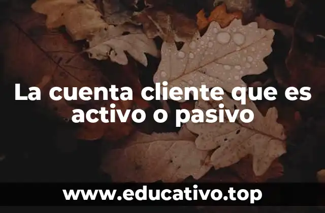 La cuenta cliente que es activo o pasivo