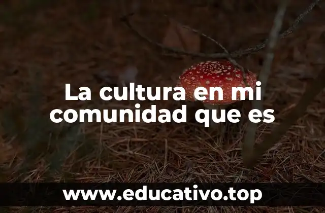 La cultura en mi comunidad que es