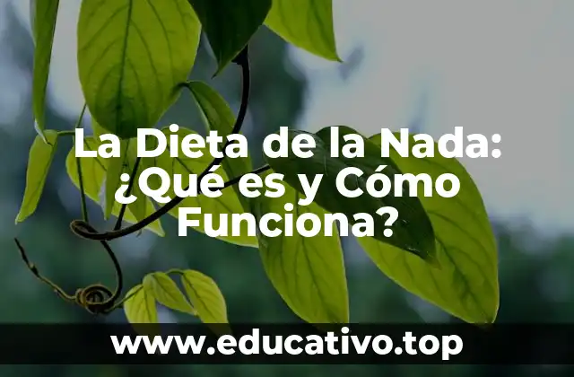 La Dieta de la Nada: ¿Qué es y Cómo Funciona?