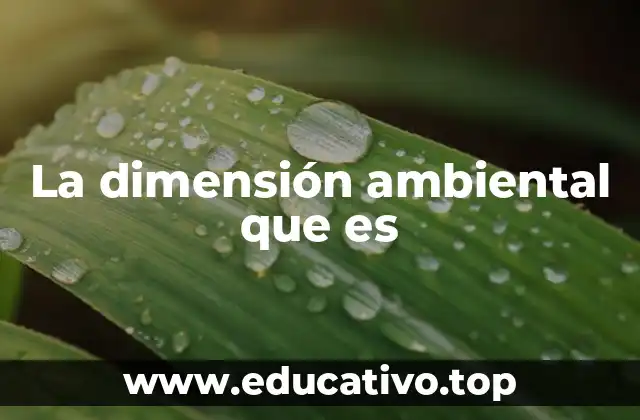 La dimensión ambiental que es
