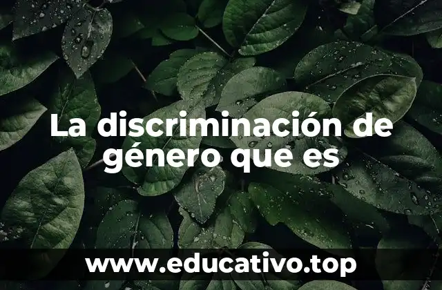 La discriminación de género que es