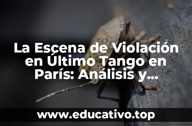La Escena de Violación en Último Tango en París: Análisis y Controversia