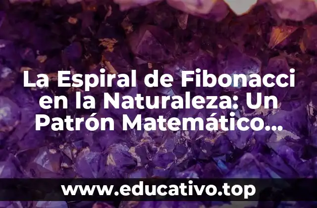 La Espiral de Fibonacci en la Naturaleza: Un Patrón Matemático Universal