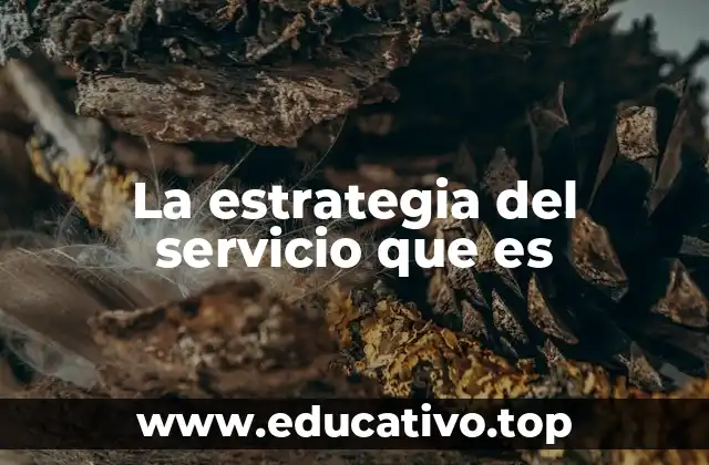 La estrategia del servicio que es