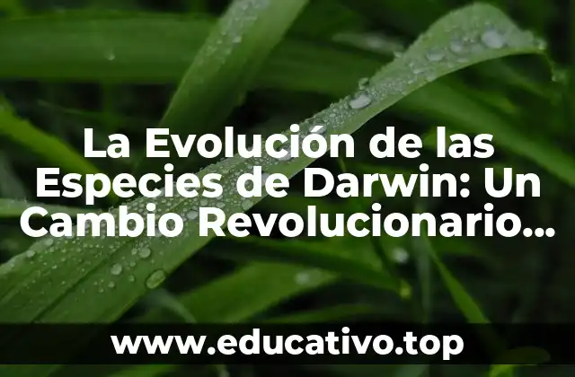 La Evolución de las Especies de Darwin: Un Cambio Revolucionario en la Ciencia