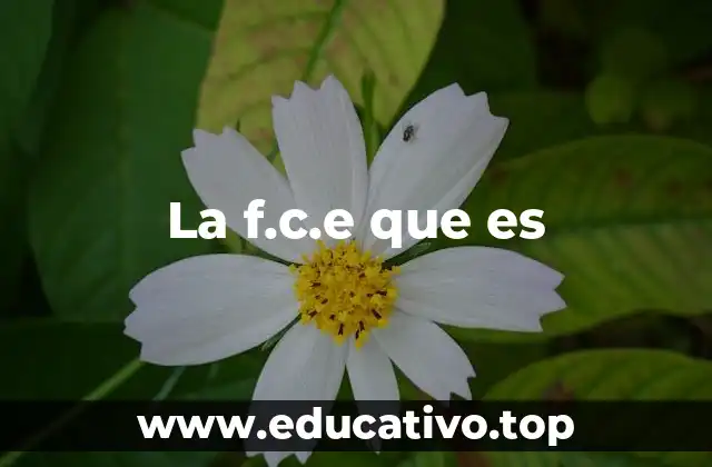 La visión detrás de la transformación educativa