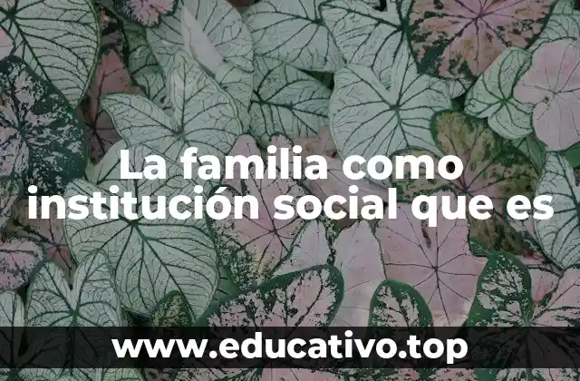 El rol de la familia en la formación social y cultural