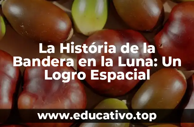 La História de la Bandera en la Luna: Un Logro Espacial