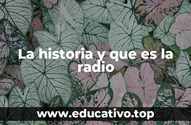 El impacto social y cultural de la radio a lo largo del tiempo