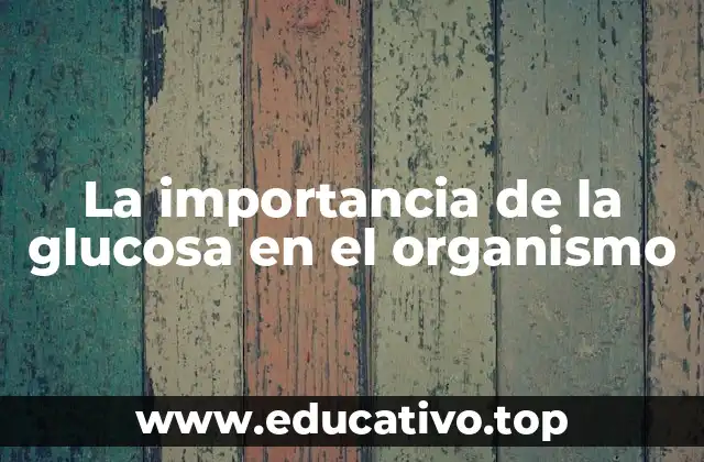 La importancia de la glucosa en el organismo