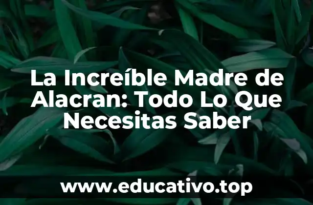 La Increíble Madre de Alacran: Todo Lo Que Necesitas Saber