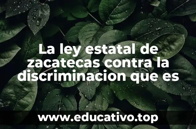 La ley estatal de zacatecas contra la discriminacion que es