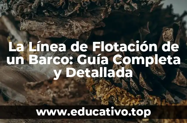 La Línea de Flotación de un Barco: Guía Completa y Detallada