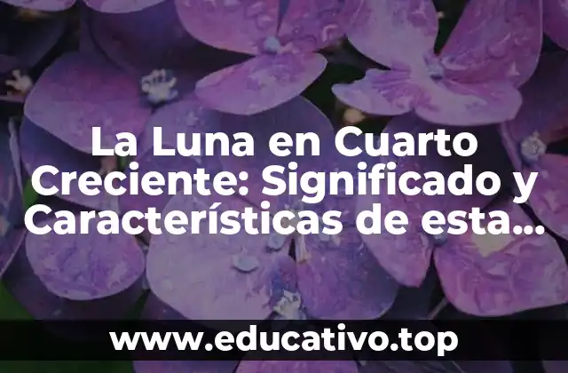 La Luna en Cuarto Creciente: Significado y Características de esta Fase Lunar