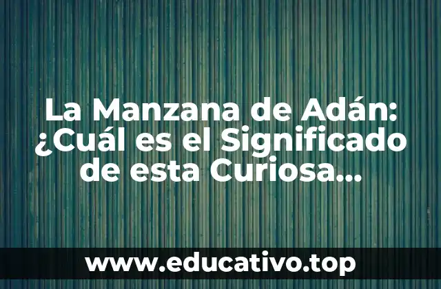 La Manzana de Adán: ¿Cuál es el Significado de esta Curiosa Formación Anatómica?