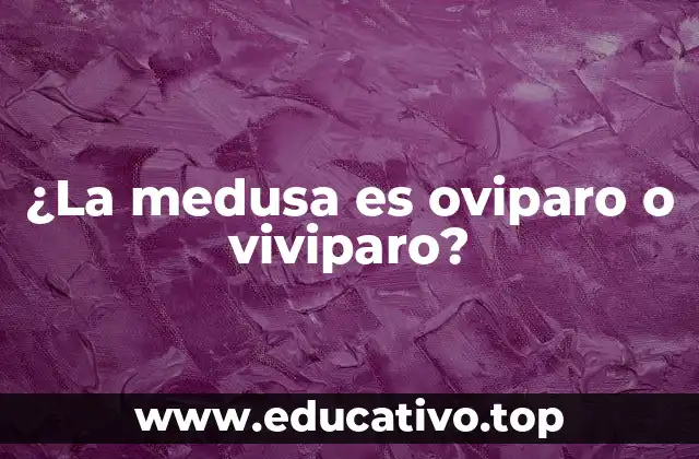 ¿La medusa es oviparo o viviparo?