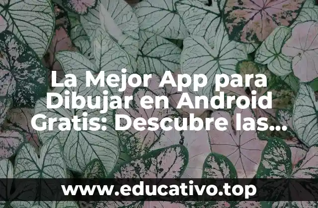 La Mejor App para Dibujar en Android Gratis: Descubre las Opciones Más Populares