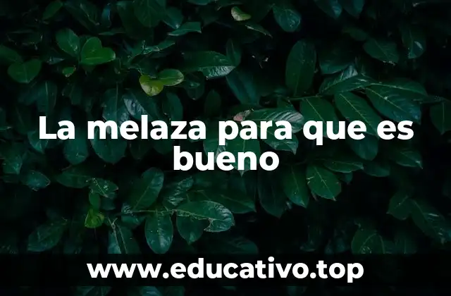 Beneficios de la melaza para la salud