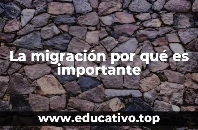 La migración por qué es importante
