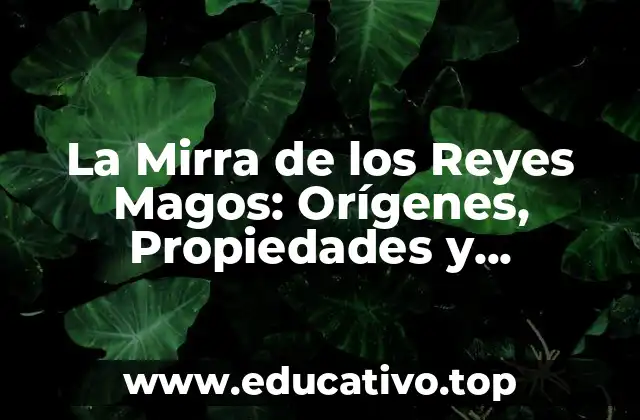 La Mirra de los Reyes Magos: Orígenes, Propiedades y Significado