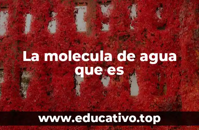 La molecula de agua que es