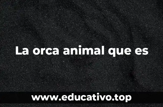 La orca animal que es