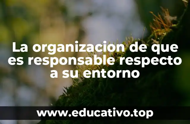 La organizacion de que es responsable respecto a su entorno