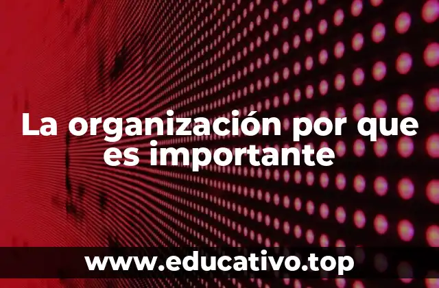 La organización por que es importante