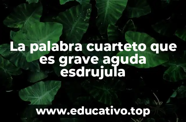 Cómo identificar la acentuación de una palabra