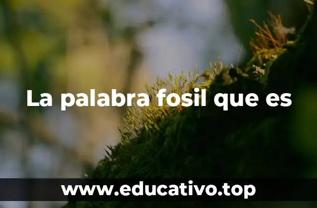 La palabra fosil que es