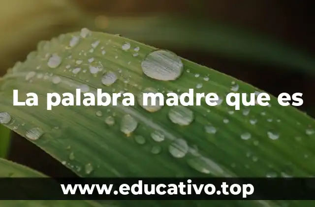 La palabra madre que es