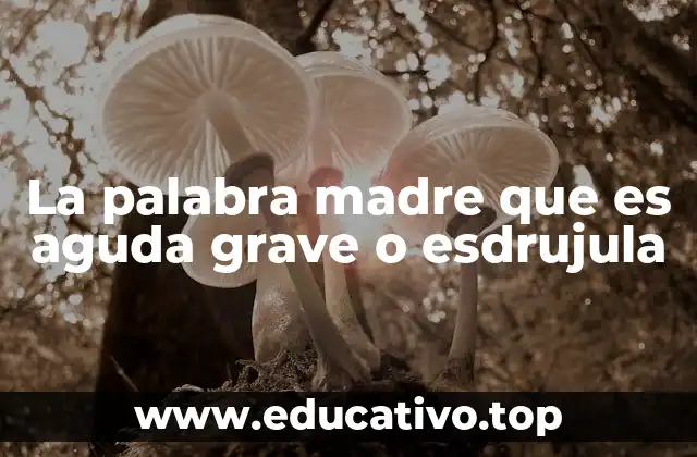 La palabra madre que es aguda grave o esdrujula